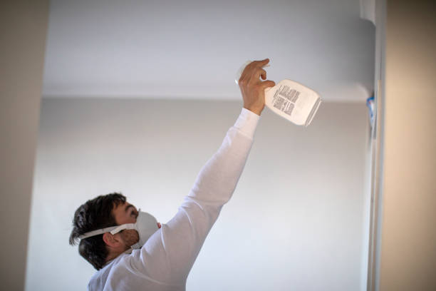 Best Fast Mold Removal  in Mineral Point, WI