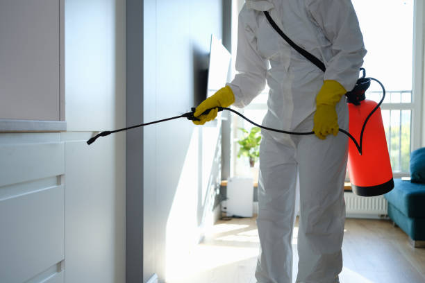 Best Professional Mold Removal  in Mineral Point, WI